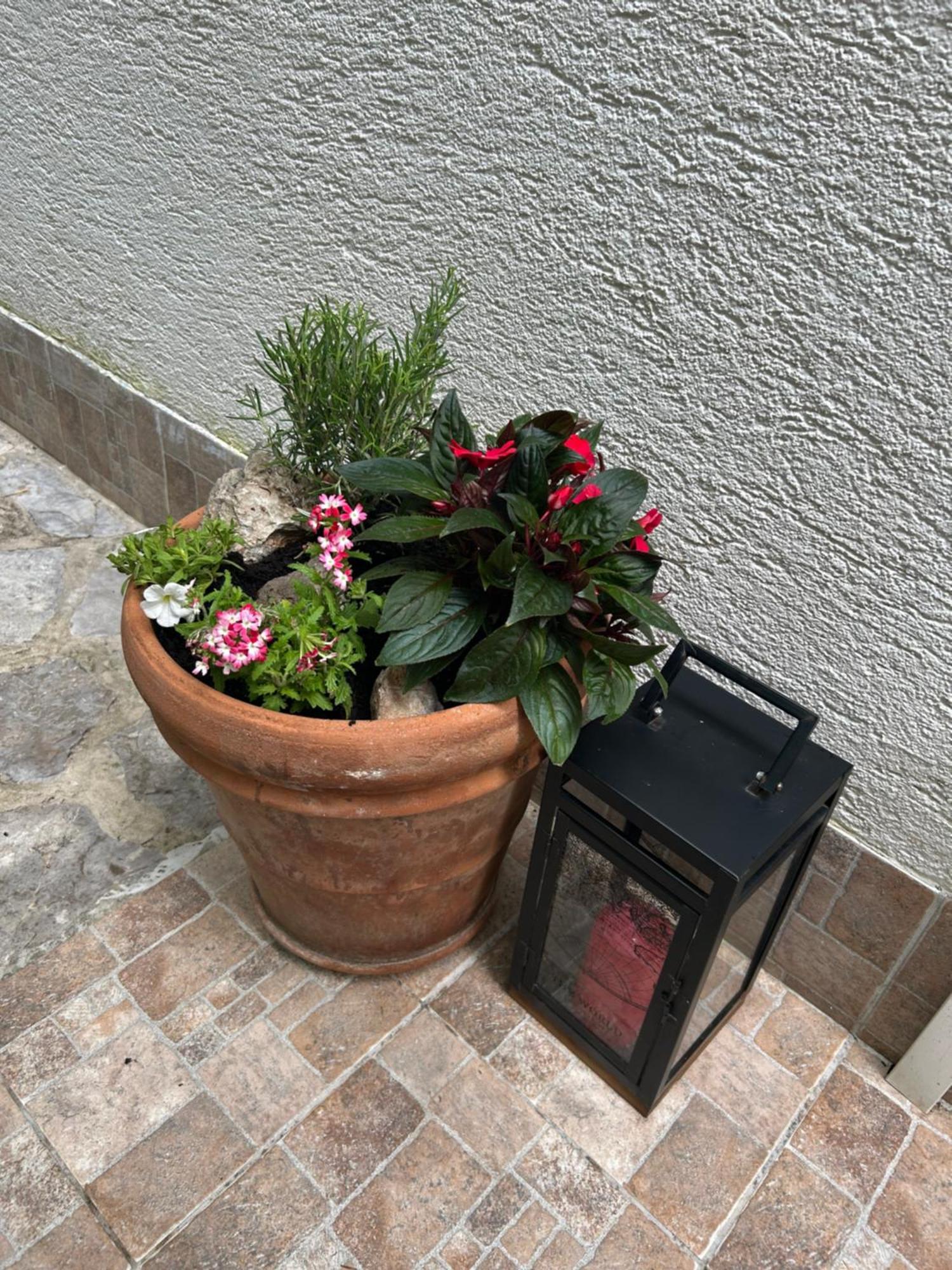 Apartment Bozena Krk Krk Town Dış mekan fotoğraf